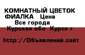 КОМНАТНЫЙ ЦВЕТОК -ФИАЛКА › Цена ­ 1 500 - Все города  »    . Курская обл.,Курск г.